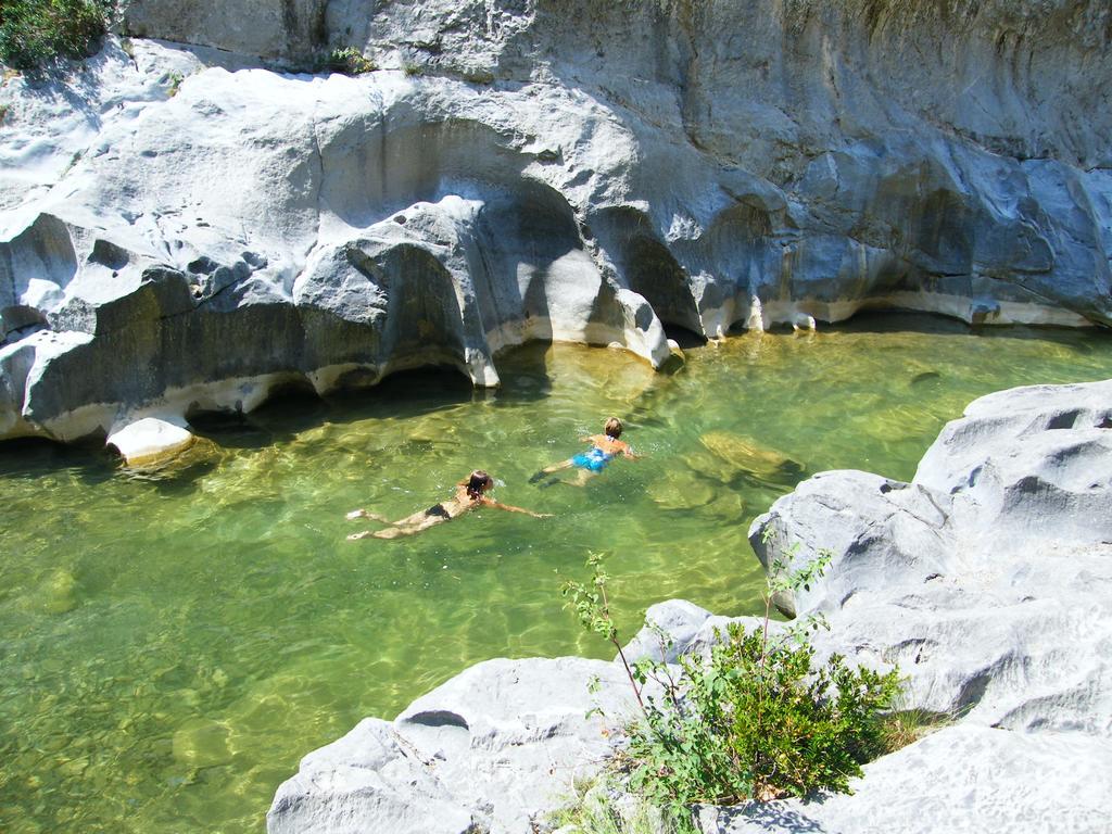 Holiday home Les Mimosas Prugnanes